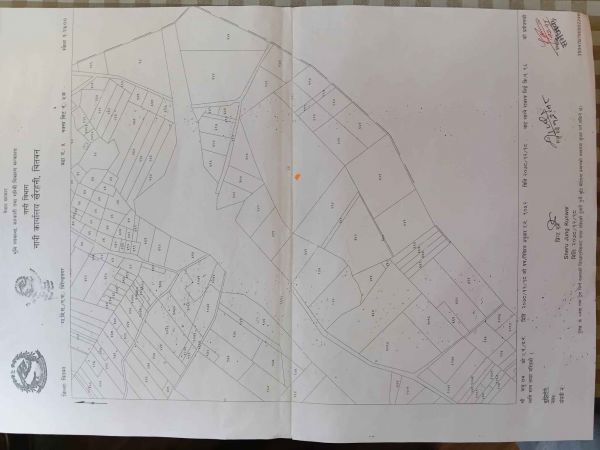 3 BIGA 5 KHATTA, 12 DURR. LAND FOR SALE. 