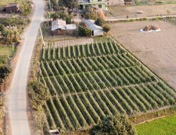 Land For Sale Rapti-8 Chitwan