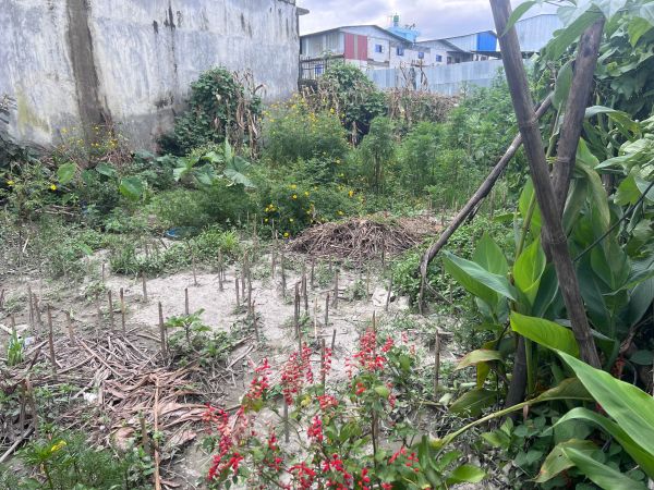 Land for sale in Bista Gaun, Harhar Mahadev, Gothatar. 4 aana 2 dam