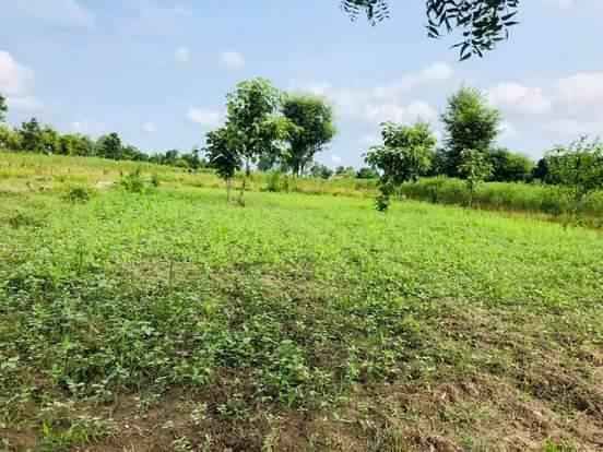 Land for sale in Bardibas-3  Mahottari