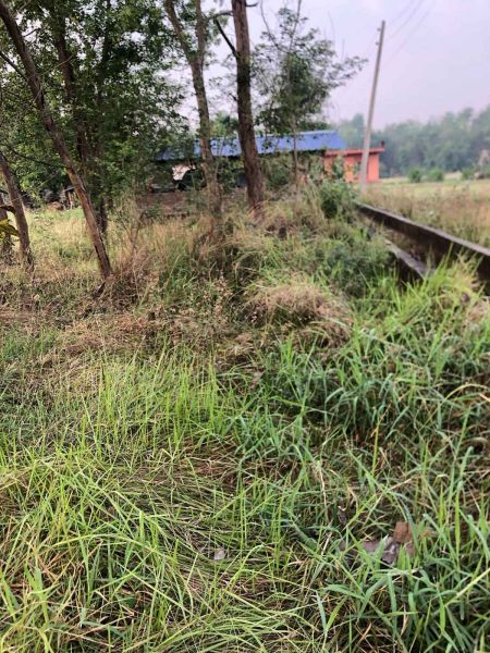 Land is sale in BUTWOL( Rupandehi district). 1 kattha 14 dhoor.