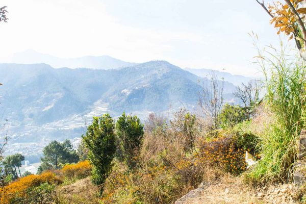 30 aana land for sale in Ramkot 8 Dadapauwa Nagarjun