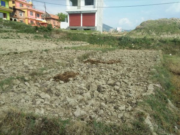 4 aana land at sale in Sudal,Bhaktapur