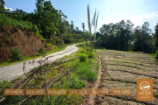8 Ropani land for saie at Mathbhanjyag nuwakot.