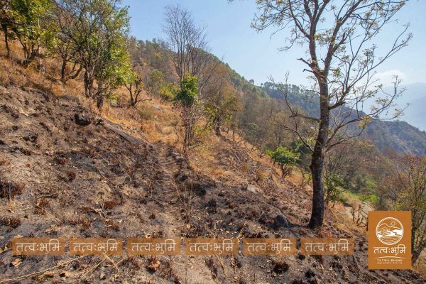 12 Ropani land for sale Kabilash, Nuwakot.