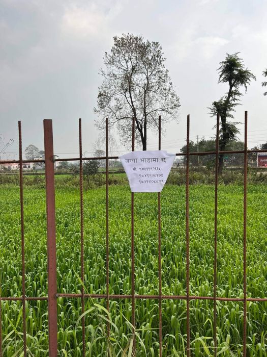 Land for rent near Tillotama Municipality Office Land for rent near Tillotama Municipality Office