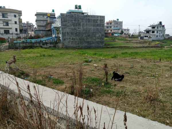 Urgent Land On Sale at Lubhu