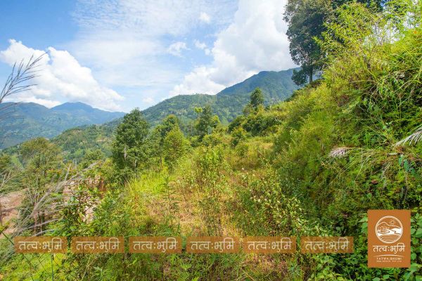 26 Ropani land for sale in Sunkhani - Nuwakot.