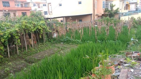 Land On Sale at Sallaghari, Bhaktapur