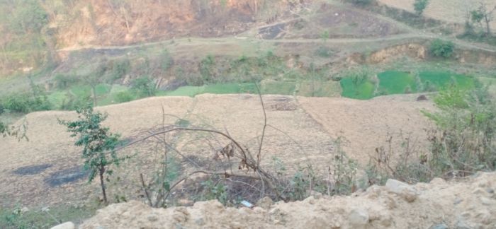 CHEAP LAND IN SALE IN LELE LALITPUR CHEAP LAND IN SALE IN LELE LALITPUR