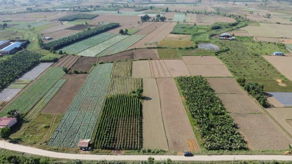 Commercial Land for Sale in Ratnanagar, Chitwan - Prime Investment Opportunity