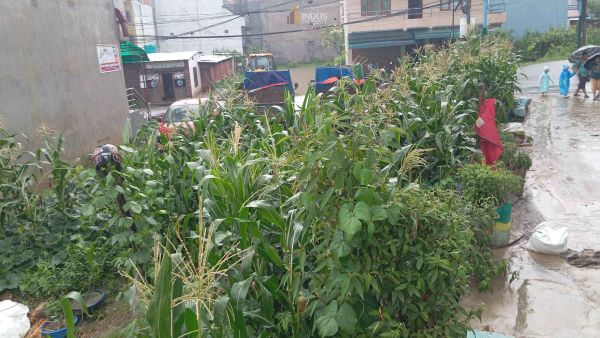 Land on sale at Thimi, Bhaktapur Land on sale at Thimi, Bhaktapur