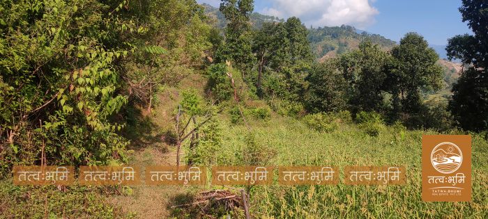 7 Ropani Land On Sale at Karki Dara, Nuwakot