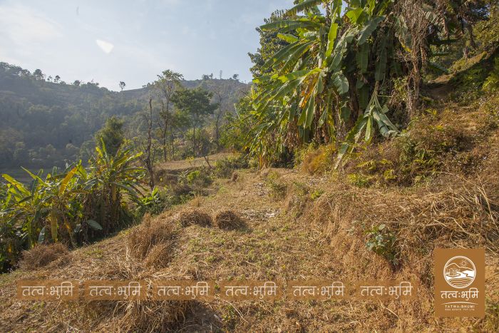 15 Ropani Land On Sale at Phedibeshi, Nuwakot.