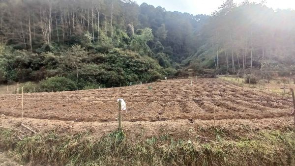 Land For Sale near Ashapuri Temple Suryabinayak