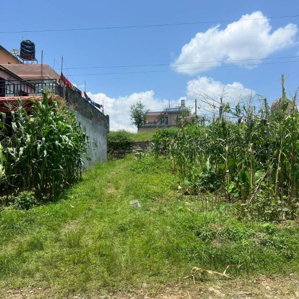 3.3 AANA JAGGA BIKRI CHHA — SISUWA, POKHARA