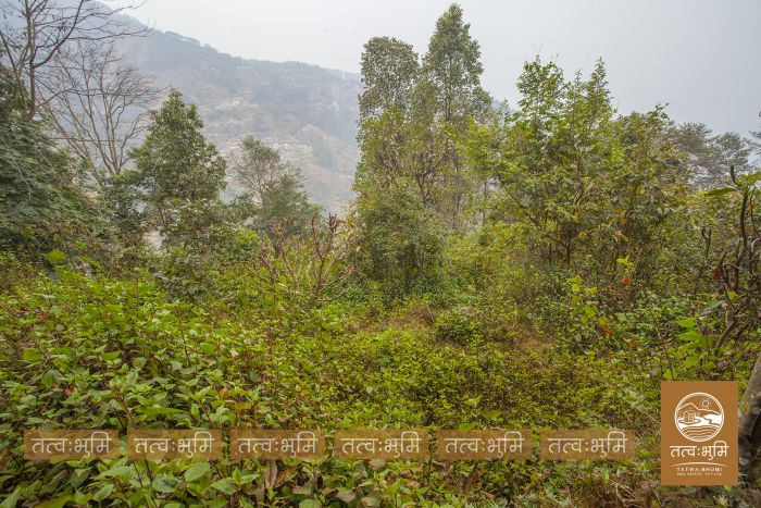 10 Ropani land in Ranipauwa for Sale.