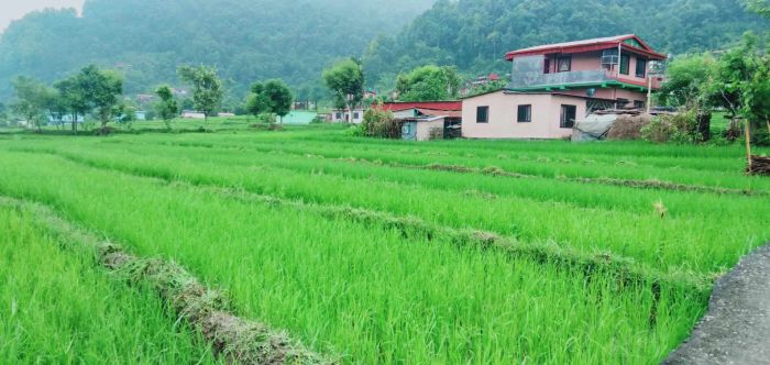 Land on sale in lamjung bhotewodar sudarbazar 8 muncipality