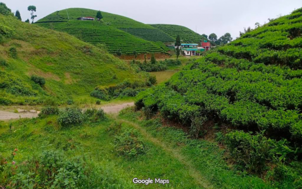 50-Ropani Land for Sale in Eastern Nepal – Ideal for Resorts & Hotels