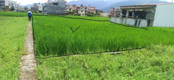 4 aana land with 20 feet road for sale in Sanagaun Lalitpur 4 aana land with 20 feet road for sale in Sanagaun Lalitpur