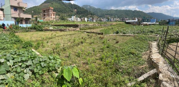 Emergency sale due to bank lone within a month