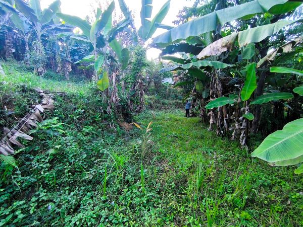  1 Kattha 5 Dhur Land for Sale — Just 20 Min from Hetauda City! 