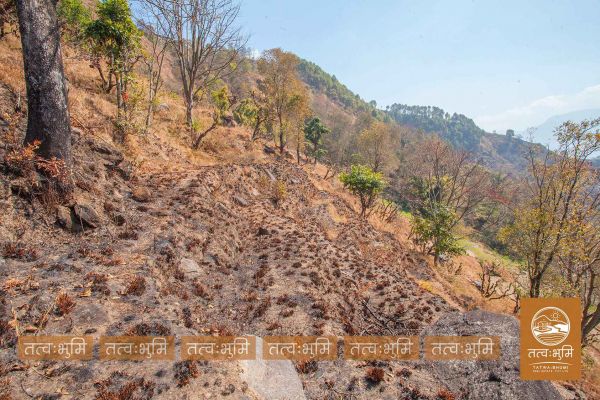 12 Ropani land for sale Kabilash, Nuwakot.