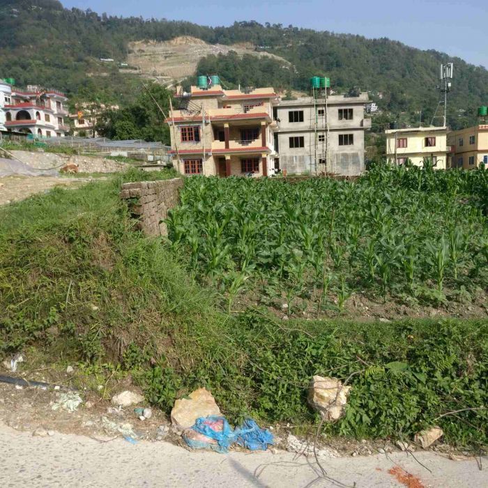 Land on sale at Tokha Jhor Land on sale at Tokha Jhor