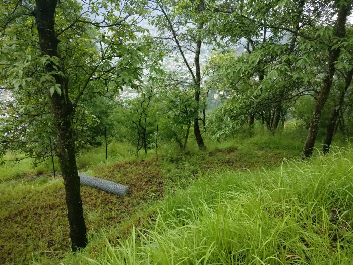 2 Ropani Land on Sale at Dahachowk