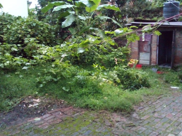 Land for sale at new baneshwor @ front of eyeplexmall Land for sale at new baneshwor @ front of eyeplexmall