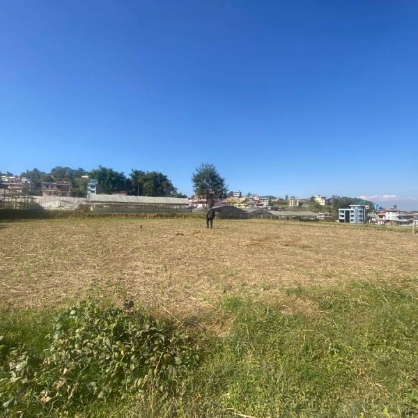 Land for sale 