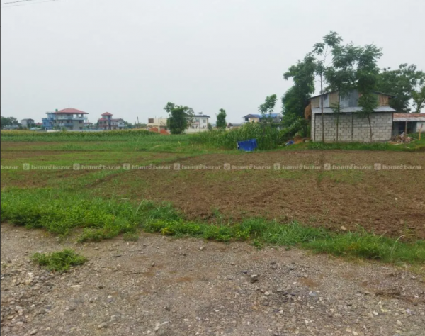 Land in Chitwan 
