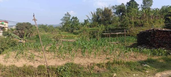 HOUSE FOR SALE IN JAMUNE, TANAHUN.