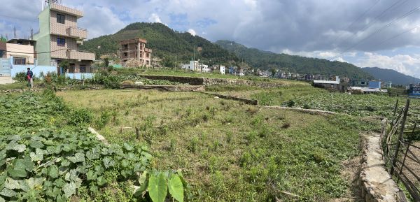 Emergency sale due to bank loans within a month