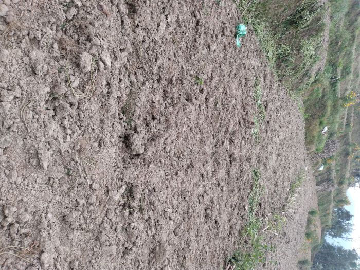 Land for sale in Sudal , Bhaktapur