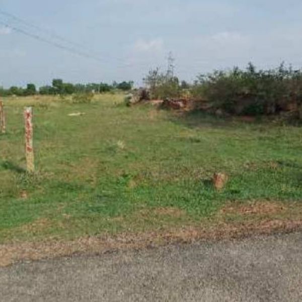 Residential Land for Sale in Titirkhi-5, Kapilvastu
