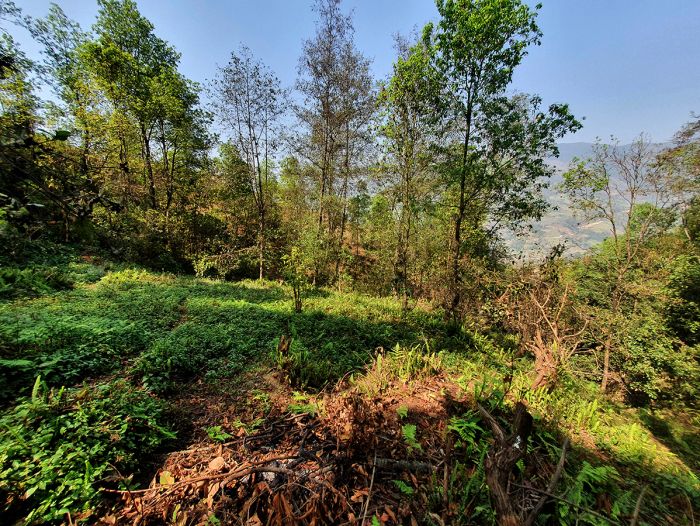 26 Ropani Land On Sale at Sunkhani, Nuwakot