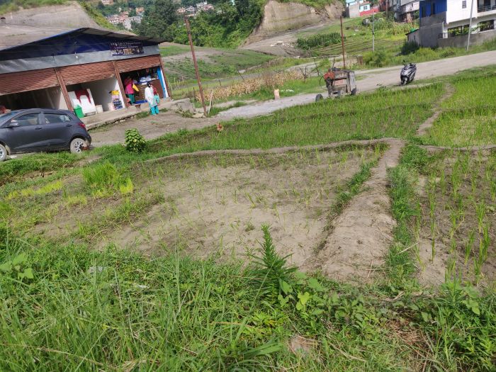 0-3-2-2 Land (in Plotting) for Sale in Syuchatar (Nagarjun-07)