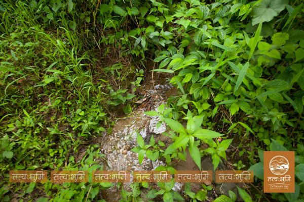 5 Ropani land for sale in Ranipauwa - Nuwakot
