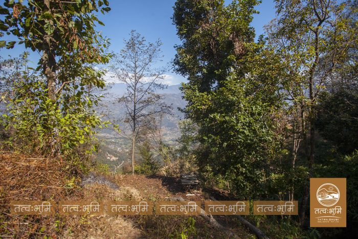 9 Ropani land in Naraynthan, Nuwakot on Sale.