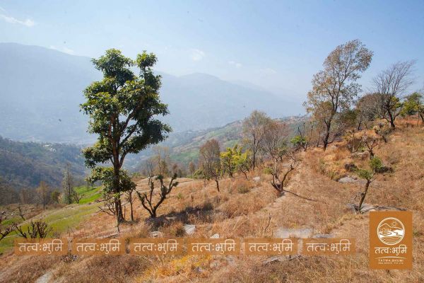 12 Ropani land for sale Kabilash, Nuwakot.