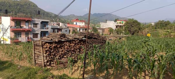 HOUSE FOR SALE IN JAMUNE, TANAHUN.