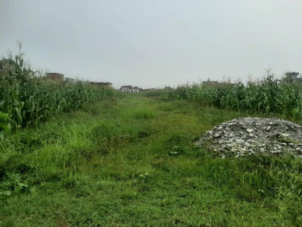 Potential Land for sale in Belbari, Morang