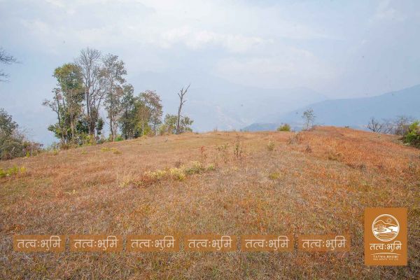 13 Ropani land for sale in Kamchok - Nuwakot