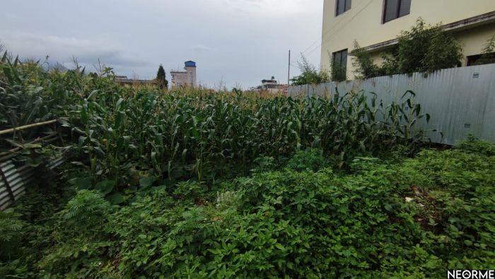 Beautiful Land for sale at Nakhipot , Near oasis school paxadi,1km meter inside dolahitii road.