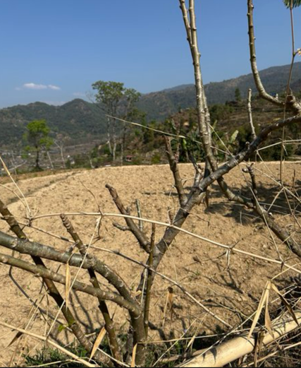 Land for sale Near Lakeside (Khapaudi )