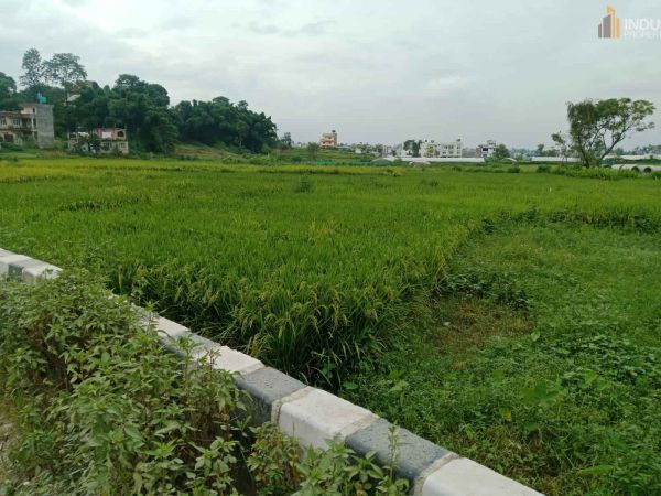 Land On Sale at Lubhu, Chasidol