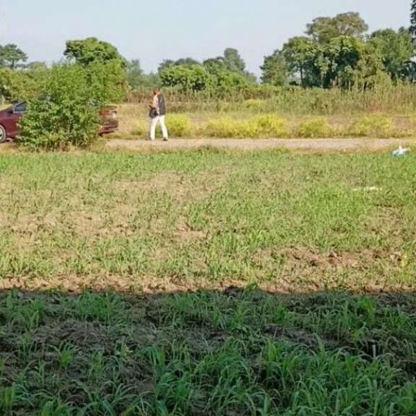 Land for sale in the heart of Chitwan.