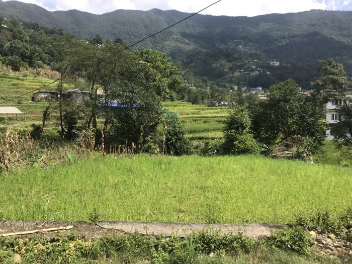 Land for Sale at Jhor, Tokha Land for Sale at Jhor, Tokha