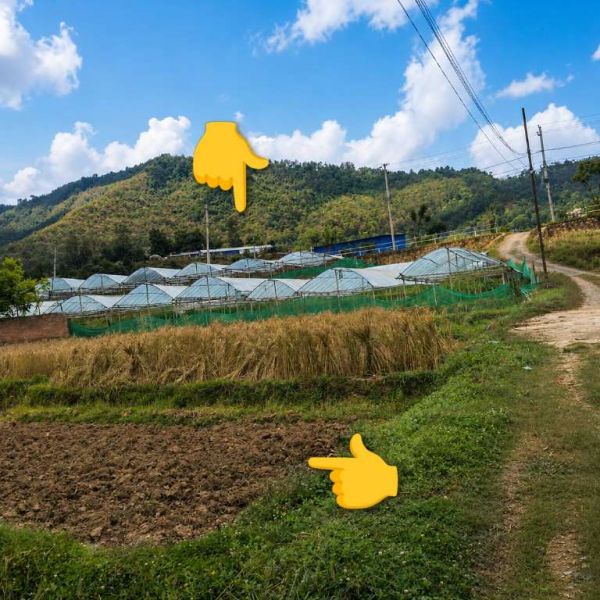 2 Plots of land for sale near 4 lane lele highway.